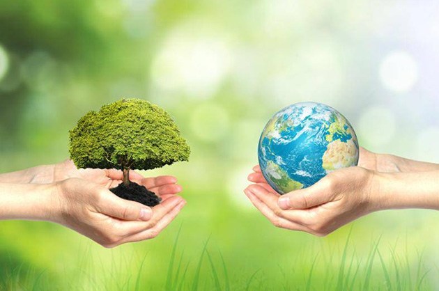 Der National Carbon Market Transaktionspreis beginnt heute